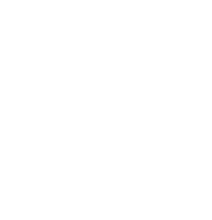 Digital Marketing Consulting